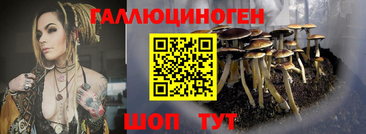 Галлюциногенные грибы Magic Shrooms  Вход с VPN  Пушкино 